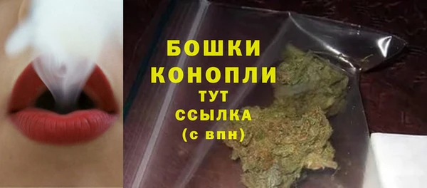 ешки Осинники