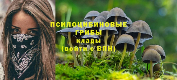 не бодяженный Верхний Тагил