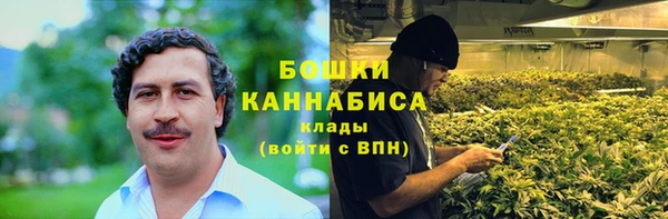 ешки Осинники
