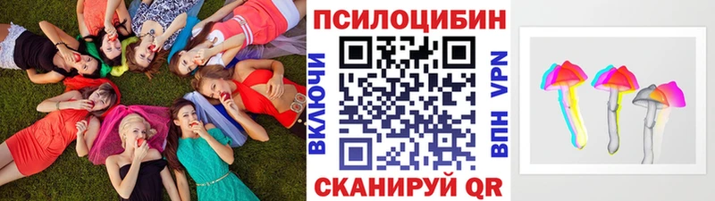 MEGA   Ярославль  Псилоцибиновые грибы Magic Shrooms 