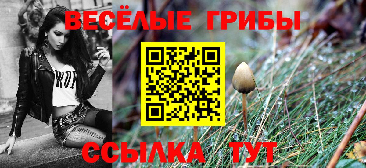Псилоцибиновые грибы Magic Shrooms Ярославль