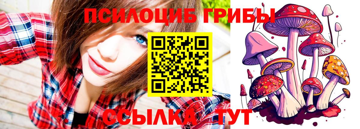 Псилоцибиновые грибы GOLDEN TEACHER Ярославль