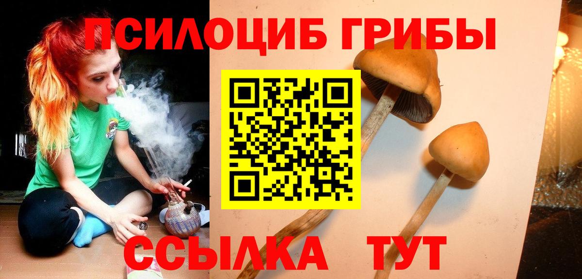 Галлюциногенные грибы MAGIC MUSHROOMS  Вход с VPN  продажа наркотиков  Псилоцибиновые грибы ЛСД  Ярославль 