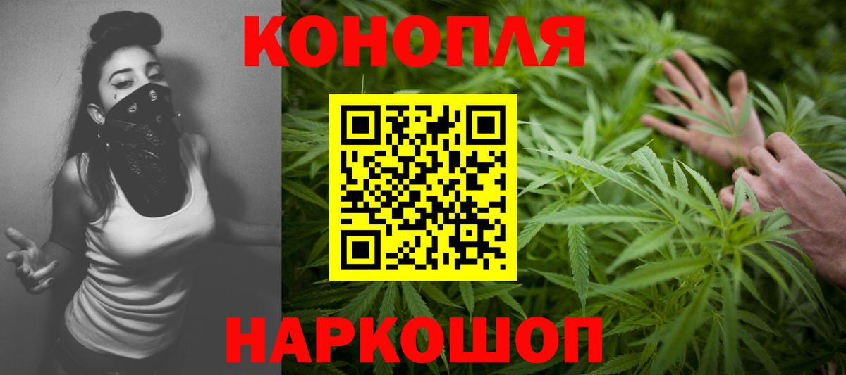 Каннабис SATIVA & INDICA  Вход с VPN  Ярославль  Канабис SATIVA & INDICA 